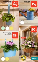 Wszystko, co najlepsze na wiosnę - Dealz