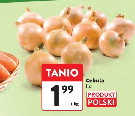Цибуля Polski