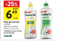 Płyn do naczyń Ludwik