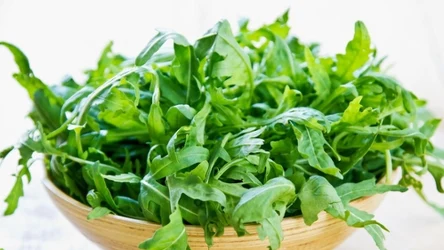Rukola ma dobry wpływ na oczy, stawy i jelita. Seniorzy powinni jeść często. 