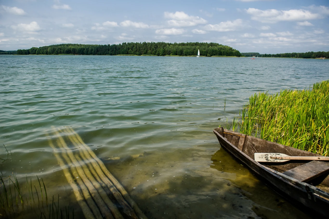 Drewniana łódź przy brzegu jeziora, obok trzcin i wód o spokojnej tafli, na horyzoncie widoczna zielona wyspa oraz pojedynczy żagiel białej żaglówki.