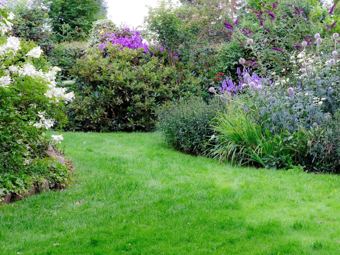 zielony, zadbany trawnik otoczony gęstymi krzewami i bujnymi kwiatami ozdobnymi w odcieniach bieli i fioletu