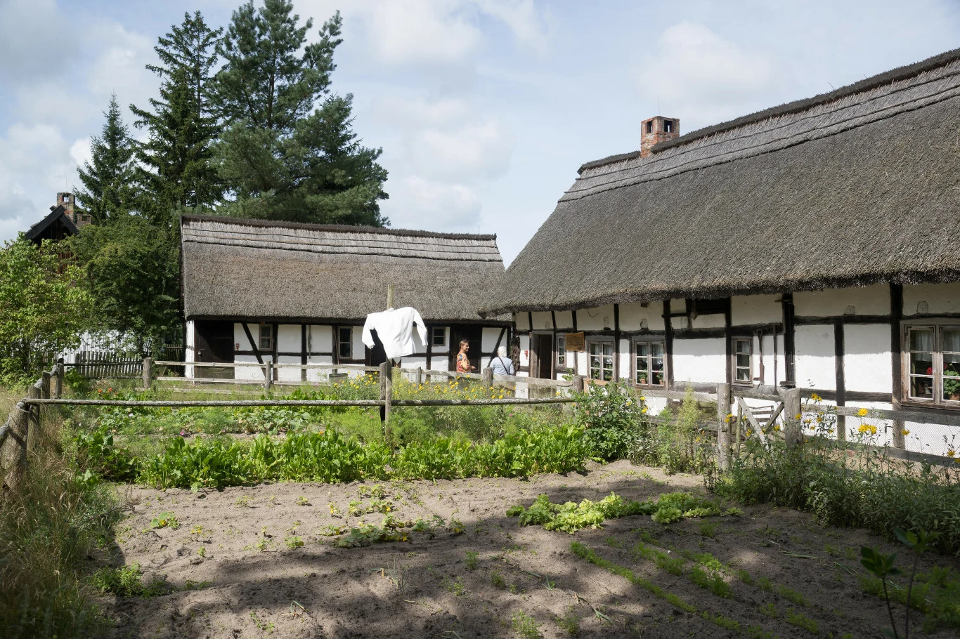 dwa tradycyjne domy o białych ścianach i strzechowych dachach, otoczone ogródkiem warzywnym z drewnianym płotem; na sznurze rozwieszone pranie, w tle drzewa i fragment nieba z chmurami