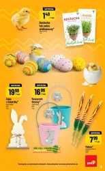 Inspirujący tydzień - POLOmarket