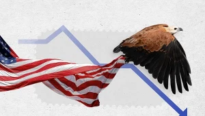 "The New York Times": W Stanach Zjednoczonych znikają ptaki