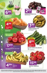 Gazetka promocyjna - Stokrotka xpress