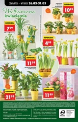 Wielkanoc pełna okazji - Biedronka