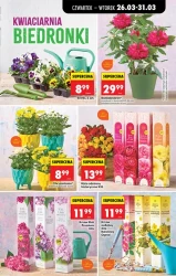 Великдень, сповнений можливостей - Божа корівка