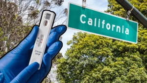 Szokujące odkrycie w USA. Nielegalne laboratorium z groźnymi wirusami