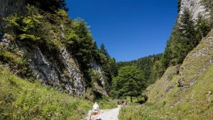 Wąwóz Szopczański wygląda jak z filmu. Idealny na wiosenną wycieczkę