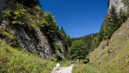 Gdzie warto wybrać się na wiosenną wycieczkę? Ten szlak ma wiele do zaoferowania