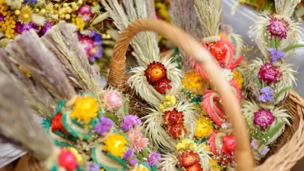 Dawne przesądy związane z Niedzielą Palmową. Dziś mało kto o nich pamięta