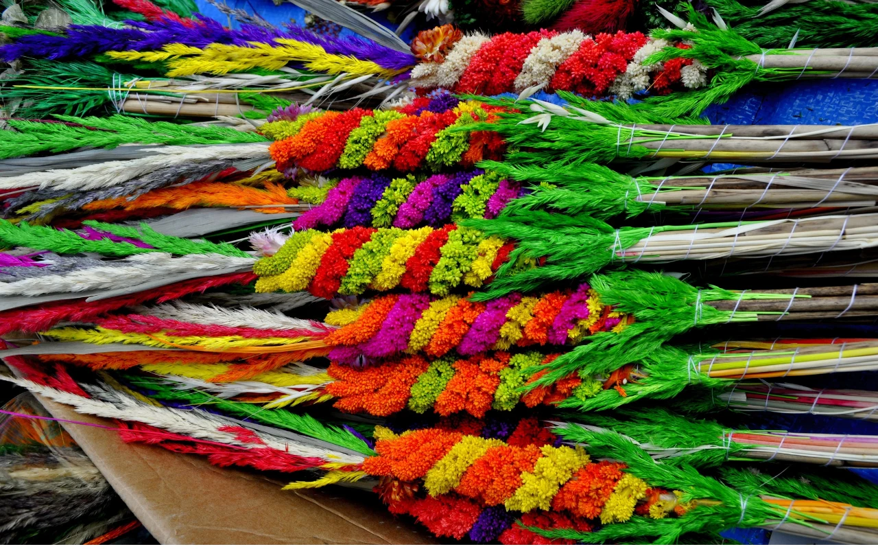 "Słowiańska palma" bardzo się zmieniła. Z wiązanki gałązek w barwną kompozycję z suszonych kwiatów i kłosów Palmy wielkanocne wykonane z kolorowych suszonych kwiatów i traw, ułożone w gęstych, splątanych warstwach, dominują intensywne barwy zieleni, czerwieni, żółci i fioletu.