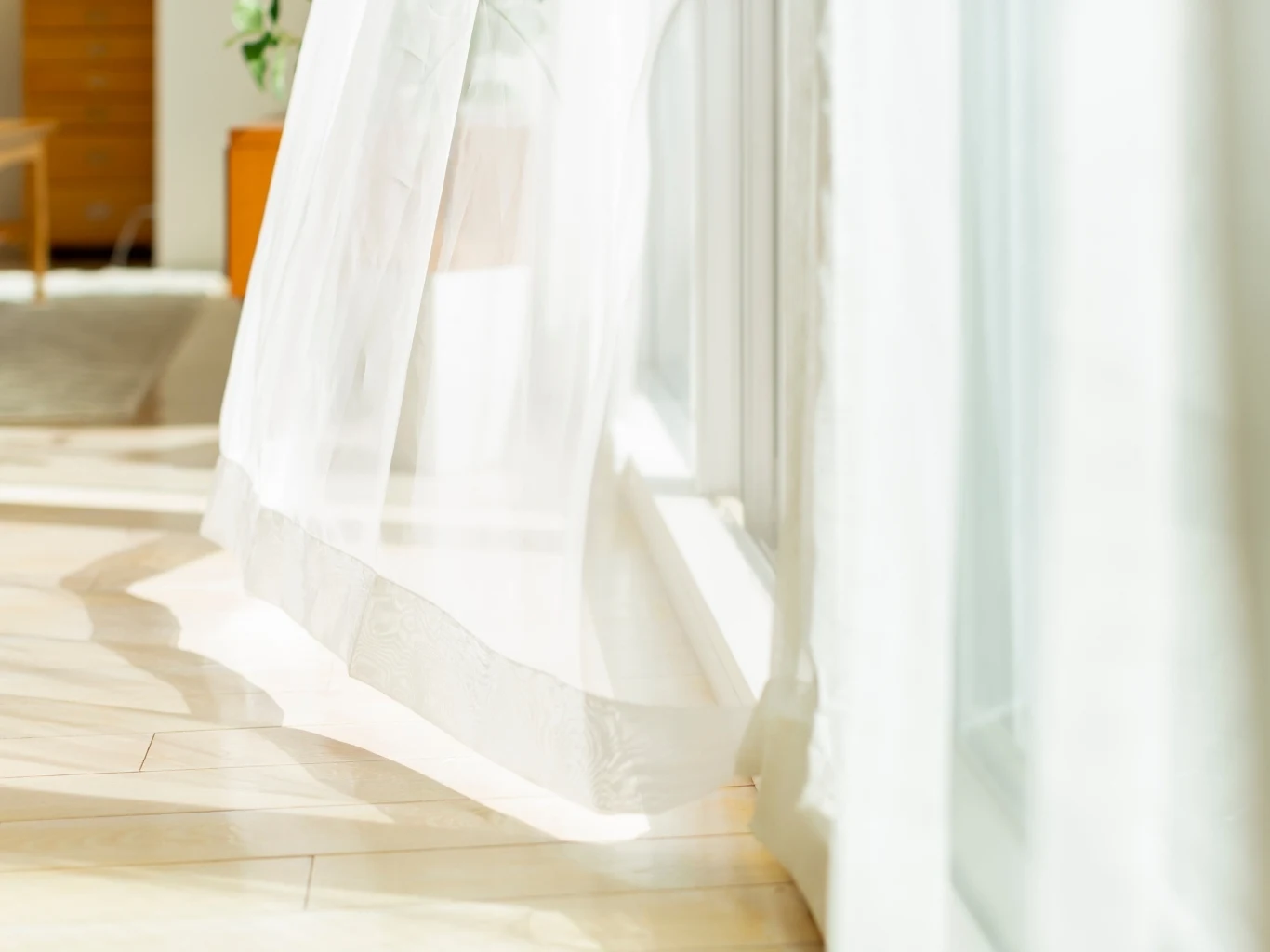 Firanki namoczone w mleku mogą odzyskać swój biały kolor delikatna, biała firanka poruszająca się na lekkim wietrze przy dużym, jasnym oknie, przez które wpada dużo naturalnego światła oświetlającego drewnianą podłogę