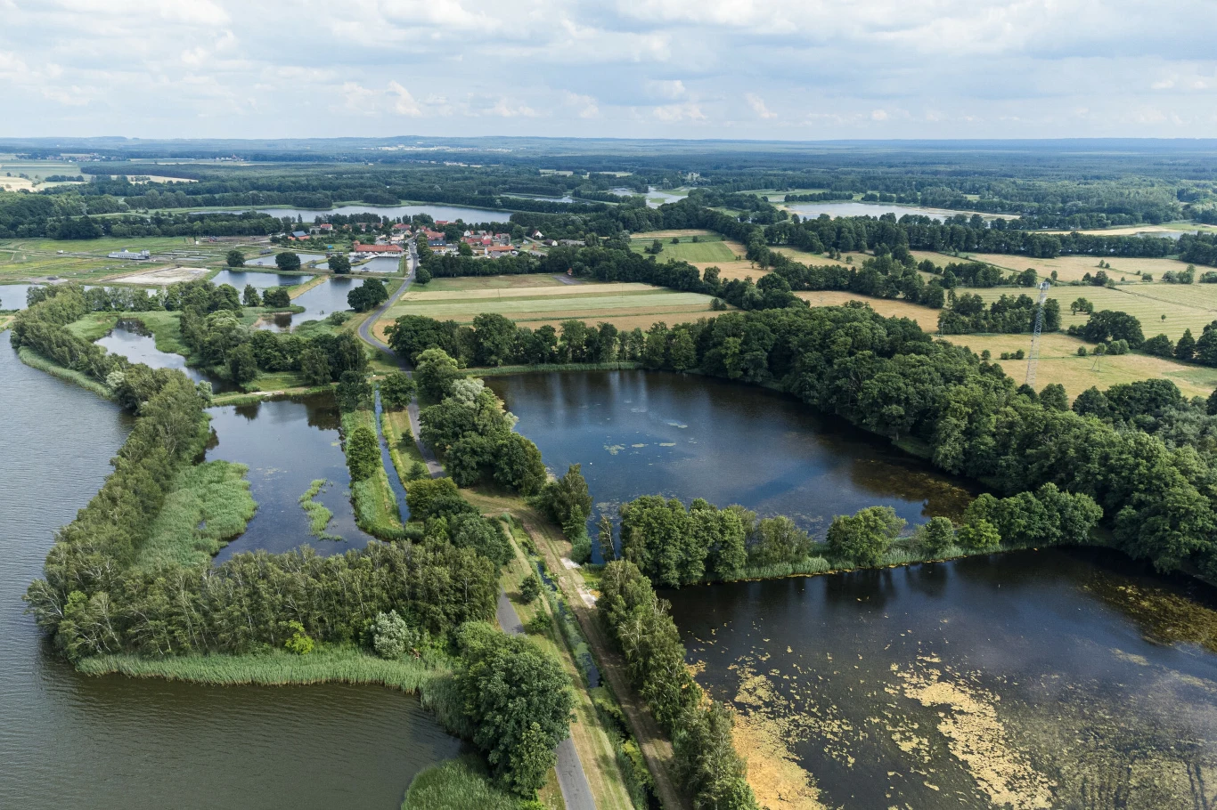 Kompleks stawów otoczonych zielenią, oddzielonych groblami, z wyraźnymi zaroślami i drzewami wzdłuż brzegów oraz widocznymi polami uprawnymi i zabudowaniami w oddali.