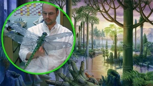Naukowiec odkrył, czemu insekty kiedyś były ogromne, a już nie są