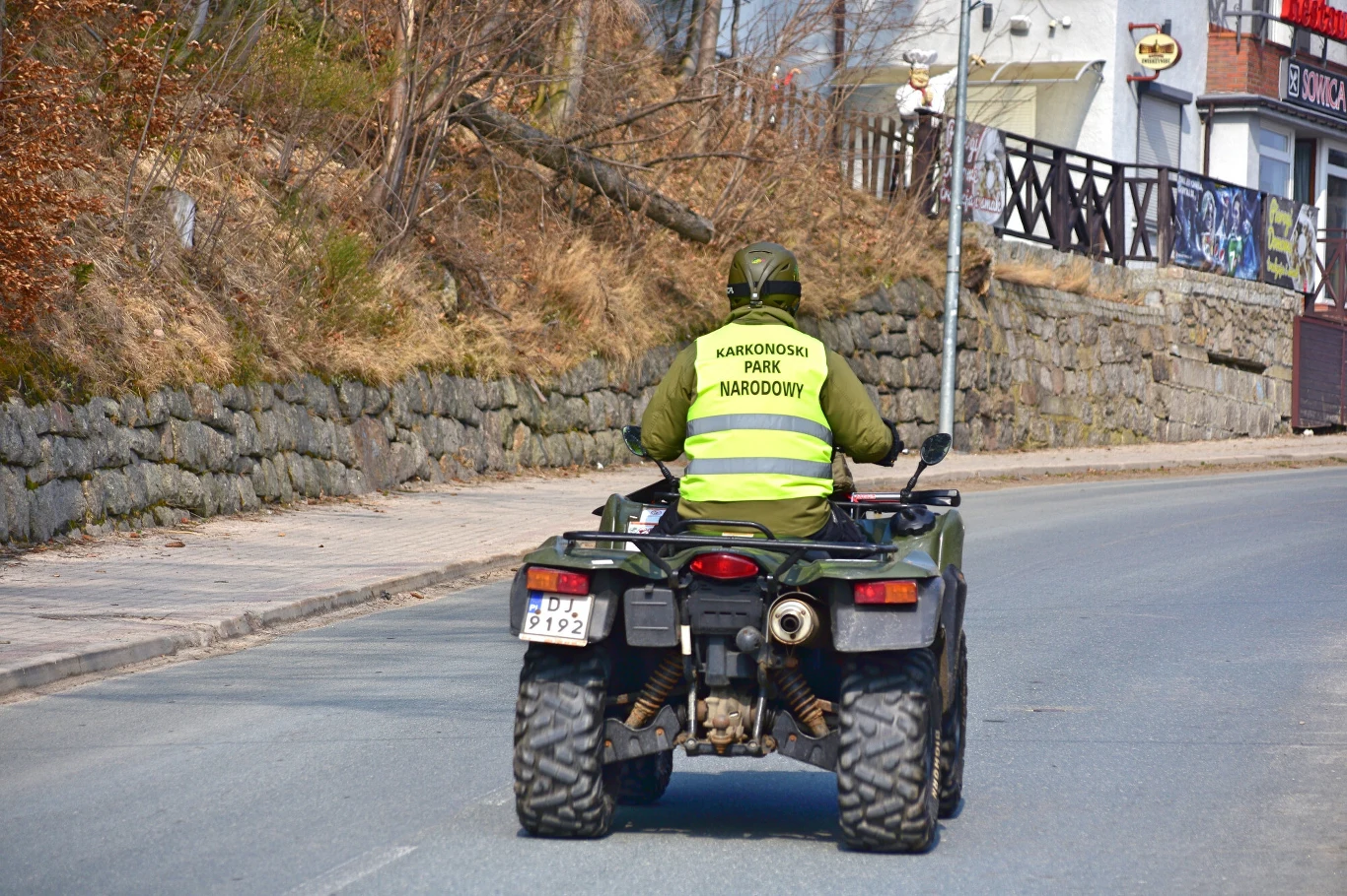 pracownik Karkonoskiego Parku Narodowego w zielonym stroju i odblaskowej kamizelce jedzie quadem asfaltem wzdłuż kamiennego muru, po lewej stronie znajduje się chodnik, w tle widoczne są drzewa i zabudowania