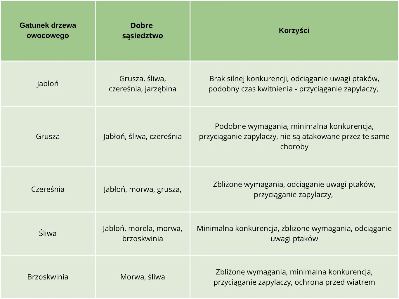 Gatunki drzew owocowych, które warto sadzić obok siebie. Tabela prezentuje zestawienie gatunków drzew owocowych wraz z rekomendowanymi sąsiadami oraz korzyściami płynącymi z takiego sąsiedztwa.