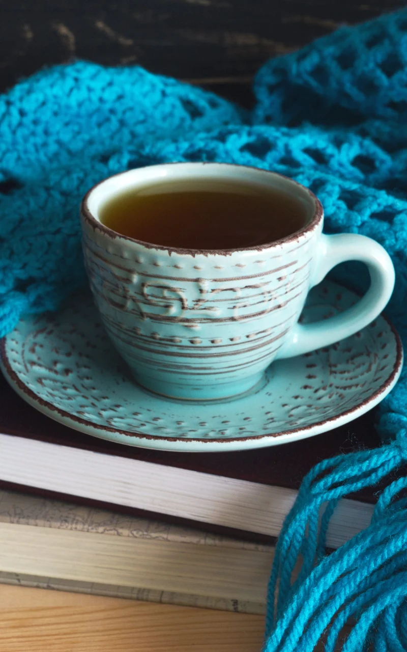 Rooibos jest idealny na wieczór - do książki, czy filmu. Nie pobudza, pomaga się odprężyć i służy naszemu zdrowiu. Błękitna filiżanka z herbatą ustawiona na pasującym spodku, otoczona turkusowym, dzierganym szalem i postawiona na zamkniętych książkach.