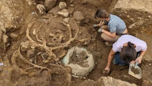 Nowy artykuł na łamach Antiquity przedstawia analizę Skarbu z Melsonby.