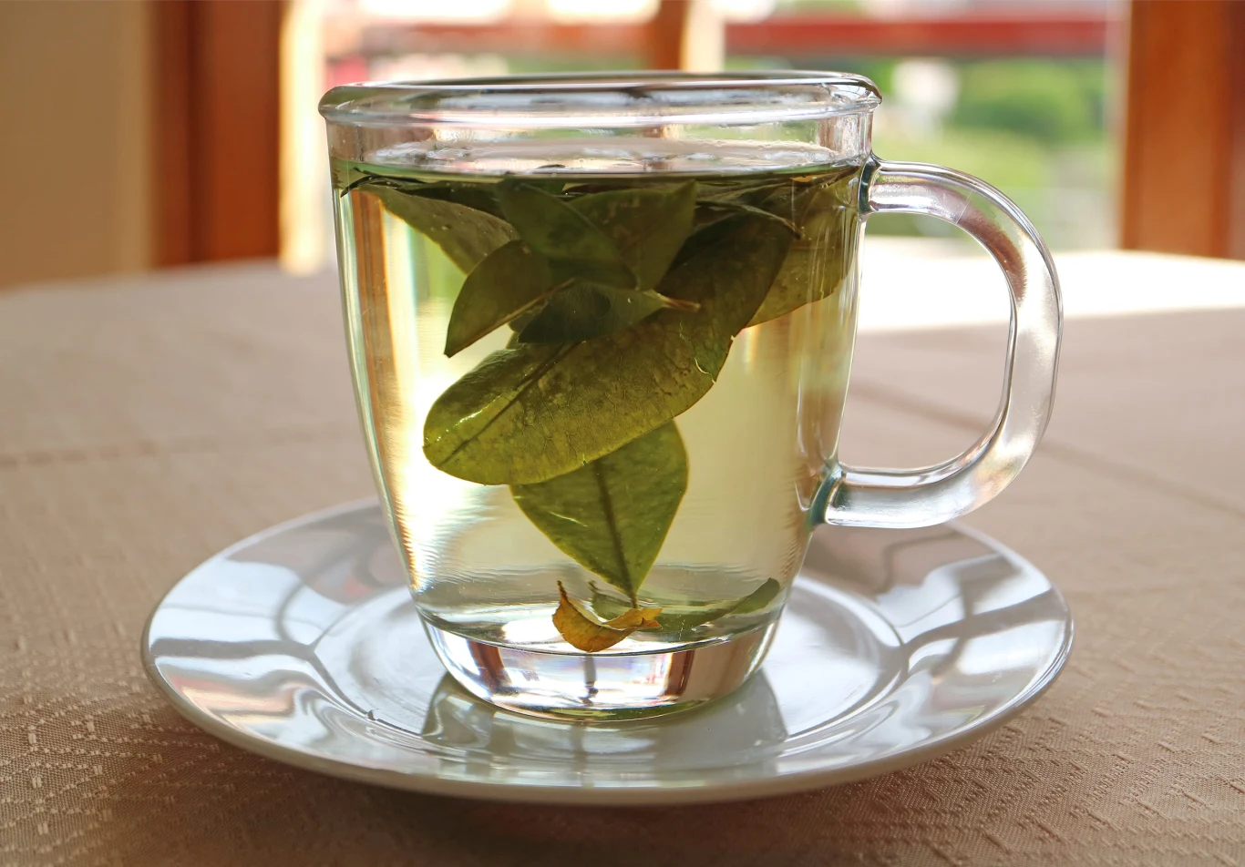 Napar liści laurowych wzmacnia odporność i dobrze działa na trawienie. Szklanka z naparem z liści laurowych stojąca na białym spodku, widoczne świeże liście w gorącej wodzie.