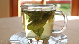 Napar liści laurowych wzmacnia odporność i dobrze działa na trawienie.