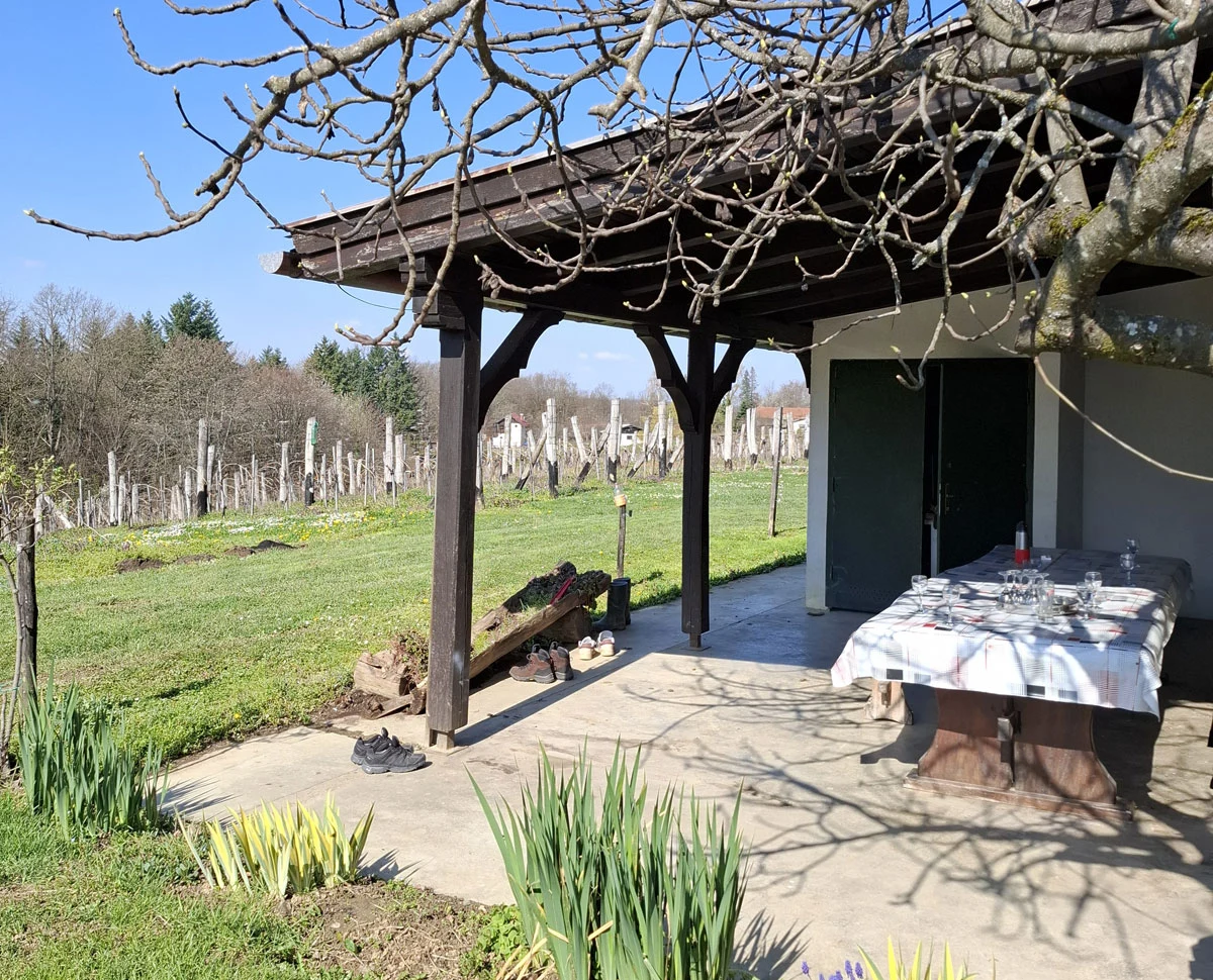 Nakryty stół z obrusem i zastawą na tarasie przy domu, obok rozkwitające żółte irysy oraz widok na słoneczną, zieloną łąkę z rzędami winorośli i lasem w tle.