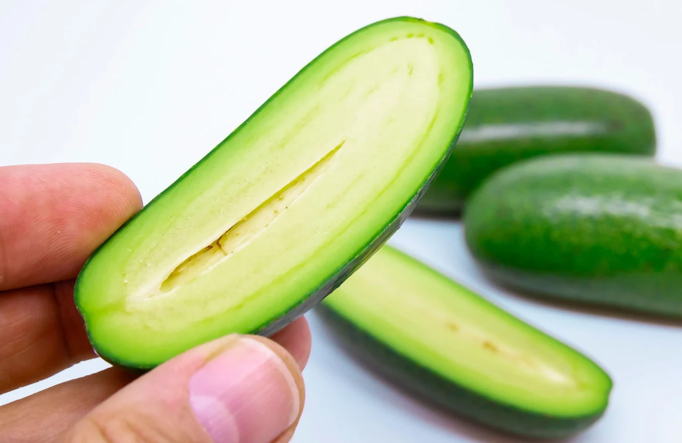 Awokado koktajlowe jest znacznie mniejsze od klasycznego owocu i nie posiada pestki Awokado koktajlowe przekrojone na pół z jasnozielonym miąższem, trzymane w palcach, w tle całe owoce.