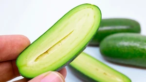 Awokado koktajlowe jest znacznie mniejsze od klasycznego owocu i nie posiada pestki