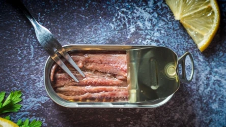 Anchois może być lepszym wyborem od sardynek czy tuńczyka.