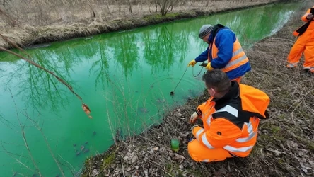 Zanieczyszczona rzeka Olechówka w Łodzi i pobieranie próbek