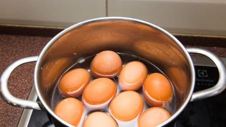 Jak gotować jajka, aby zachowały idealny smak, były zdrowe i nie popękały?