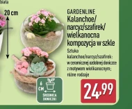 Roślina dekoracyjna Gardenline