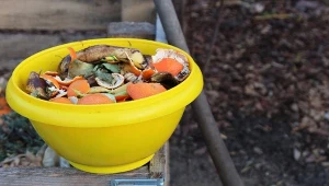 Wmieszaj do kompostu. Brzydki zapach zniknie szybciej niż myślisz