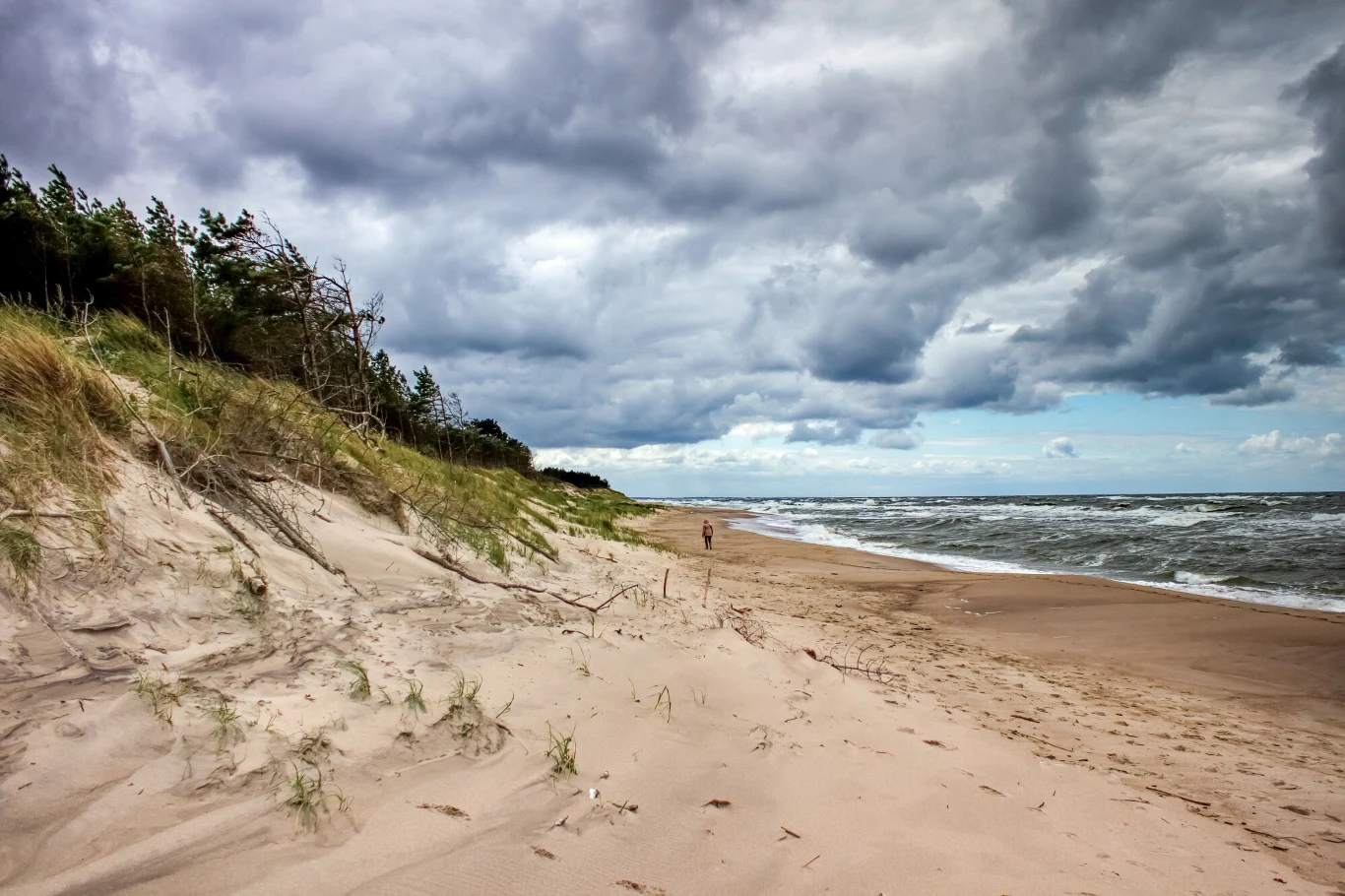 piaszczysta, szeroka plaża z wysokimi wydmami porośniętymi trawą i sosnami, wzburzone morze oraz pochmurne niebo tworzące atmosferę nadchodzącej burzy; w oddali samotna postać spacerująca brzegiem