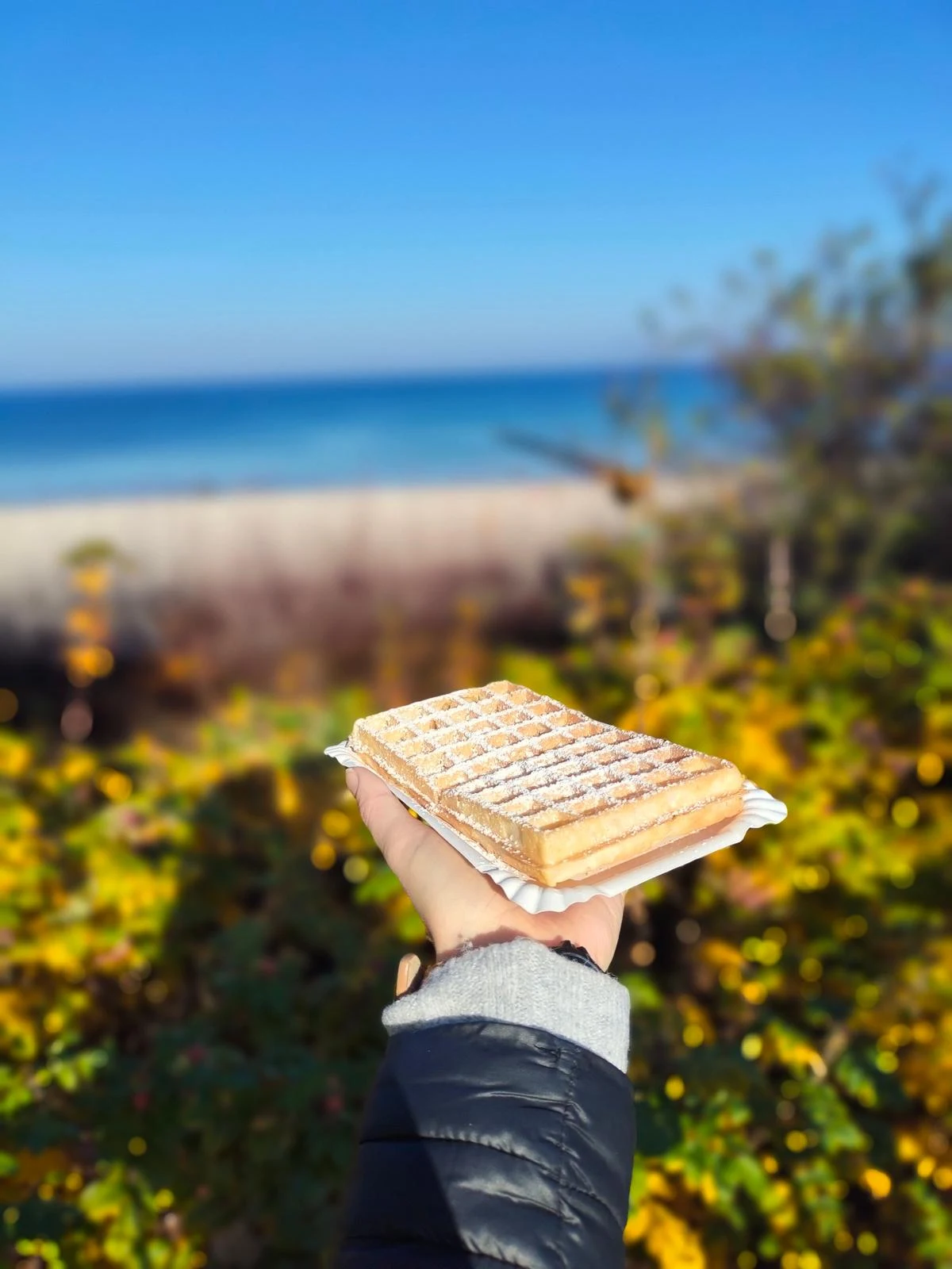 gofr posypany cukrem pudrem trzymany w wyciągniętej dłoni na tle rozmazanego krajobrazu plaży, morza i błękitnego nieba