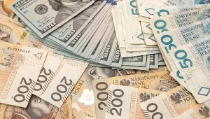 Polacy na tym rynku stracili majątek. KNF przedstawiła nowe dane