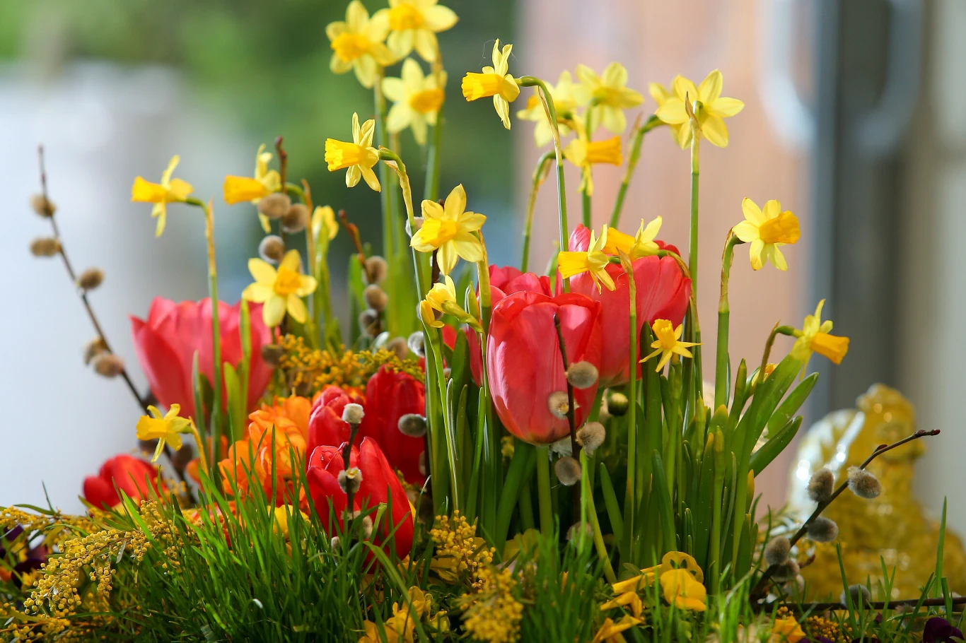 Wielkanocny stół może był pełen pięknych kwiatów, kojarzących się z wiosną. Zobacz, jak go ozdobić, by wszyscy aż zaniemówili z wrażenia. Kompozycja z żółtych narcyzów, czerwonych tulipanów, bazi i zielonej trawy, tworząca wiosenny, kolorowy bukiet. Wkielkanoc.