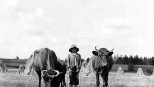 Życie na dawnej wsi: Nieślubnym dzieciom nadawano charakterystyczne imiona