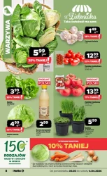 Wielka moc niskich cen - Netto