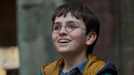 Dominic McLaughlin jako Harry Potter