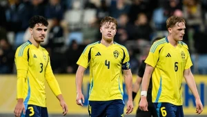 Radość Polaków, a Szwecja traci szansę na mistrzostwa. Rozpacz Skandynawów