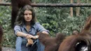 Birute Galdikas ze swoimi orangutanami. Zdjęcie z 1975 roku