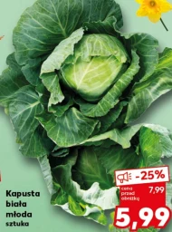 Kapusta młoda