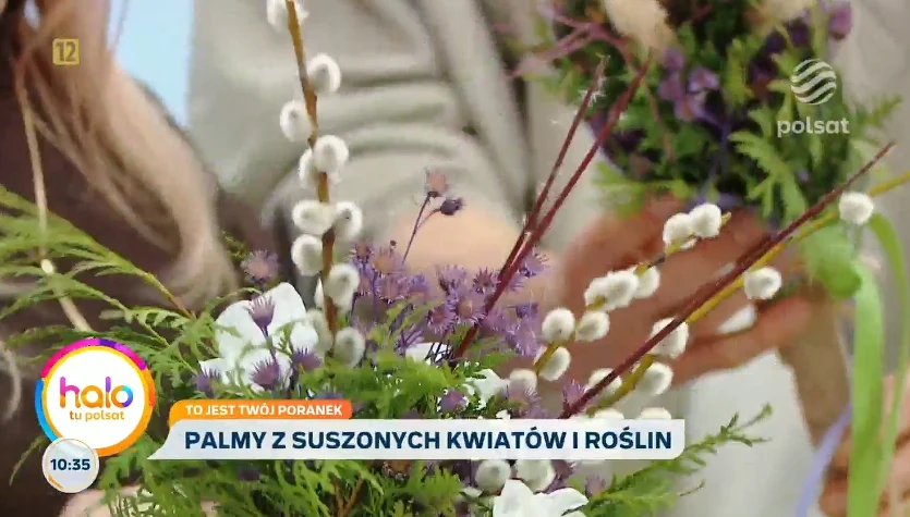 Domowa palma w kilka minut (i to niemal za darmo)