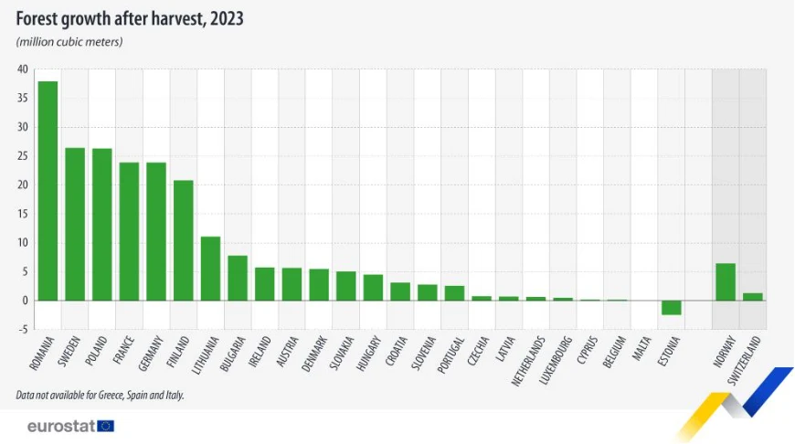 Wykres słupkowy pokazuje wzrost lasów po zbiorach w poszczególnych krajach Unii Europejskiej w 2023 roku, z największym przyrostem w Niemczech, następnie we Francji, Polsce i Szwecji, oraz z ujemnym wynikiem dla Austrii i Rumunii.