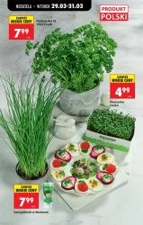 Wielkanocne okazje! - Biedronka