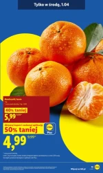Щодня новий великодній хіт! - Lidl