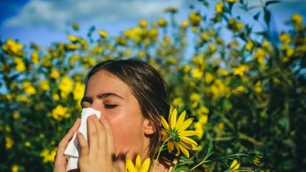 Alergie nacilają się także z powodu zanieczyszczeń powietrza
