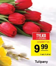 Букет Tulipany